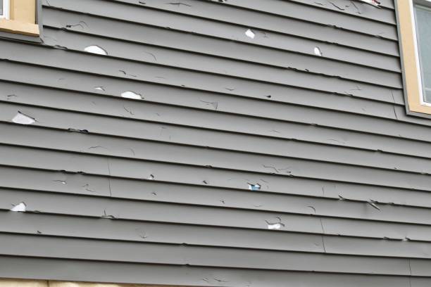 Seth Ward, TX Siding Installation & Repair Company